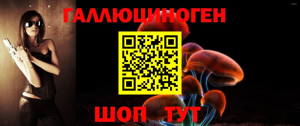 Галлюциногенные грибы Psilocybe  Вход с VPN  Новоуральск 
